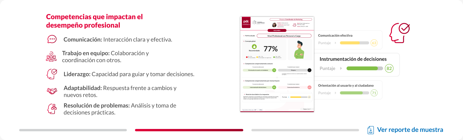 Prueba de Competencias: resultados por brechas