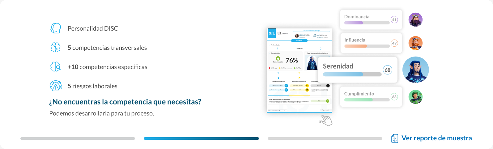 Ten DISC Plus: competencias, riesgos y reporte visual